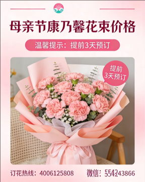南平延平区花店母亲节康乃馨花束