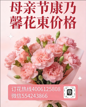 南平延平区花店母亲节康乃馨花束
